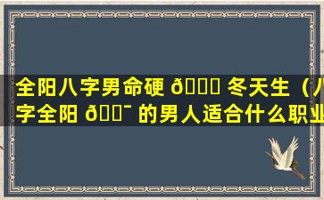 全阳八字男命硬 🐛 冬天生（八字全阳 🐯 的男人适合什么职业）